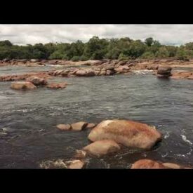 Imagem padrão