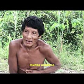 Imagem padrão