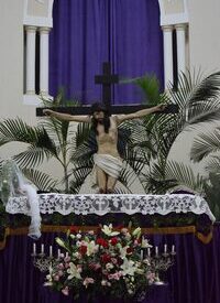 Imagem padrão