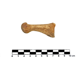 Imagem padrão